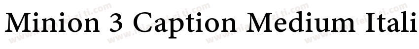 Minion 3 Caption Medium Italic字体转换